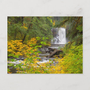 Carte Postale USA, Oregon, Silver Falls State Park 2