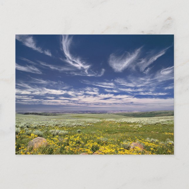 Carte Postale USA, Oregon, Steens Mountain. Chirurgie (Devant)