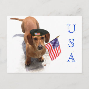 Carte postale USA Patriotic