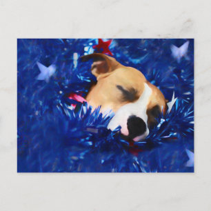 Carte Postale USA Patriotique Chien American Pit Bull Terrier