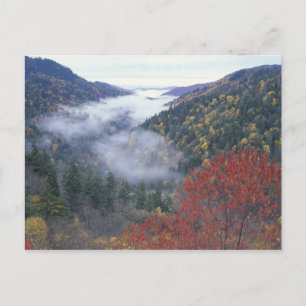 Carte Postale USA, Tennessee, Great Smokey Mountains National