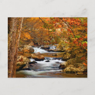 Carte Postale USA, Tennessee. Ruisseau Rushing Mountain