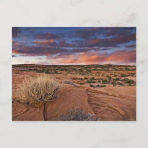 Carte Postale USA, Utah. Coucher de soleil sur Poison Spider Mes