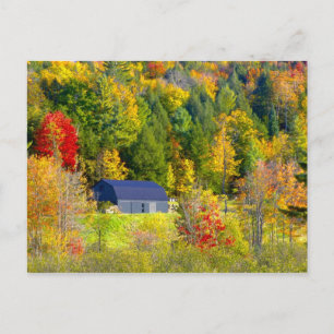 Carte Postale USA, Vermont. Feu d'automne sur la route 100.