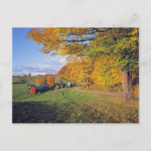 Carte Postale USA, Vermont, Jenne Farm. L'automne arrive à Jenne