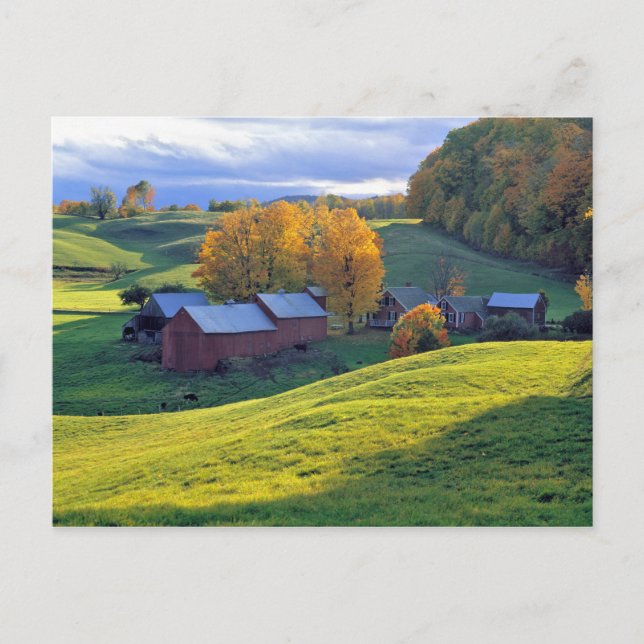 Carte Postale USA, Vermont, Jenne Farm. Les collines verdoyantes (Devant)