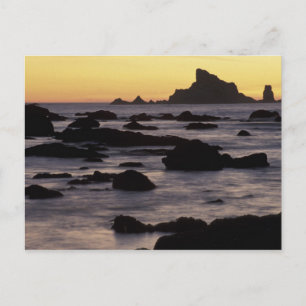 Carte Postale USA, Washington, Olympic Nat'l Park, Seastacks