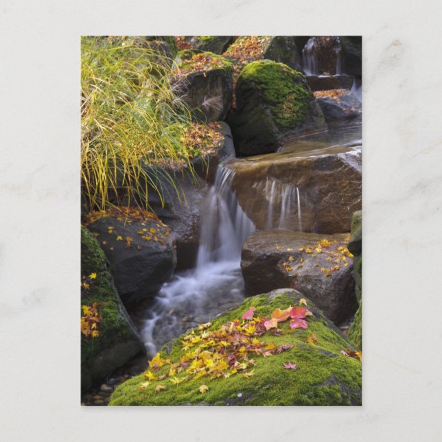 Carte Postale USA, Washington, Seattle (Devant)