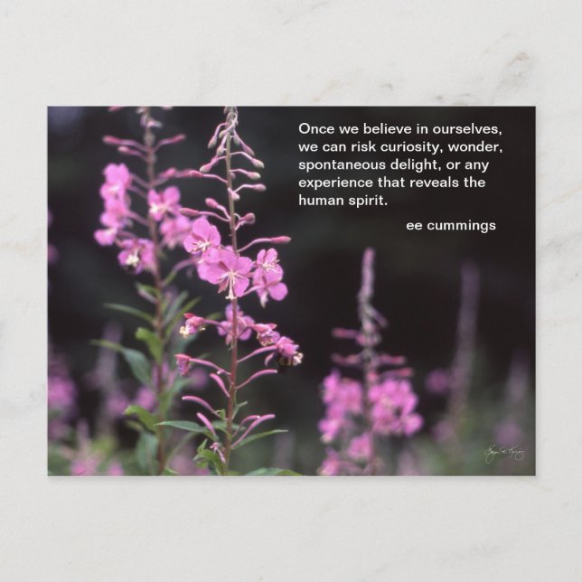 Carte Postale Usines de Fireweed - citation de cummings de l'EE (Devant)