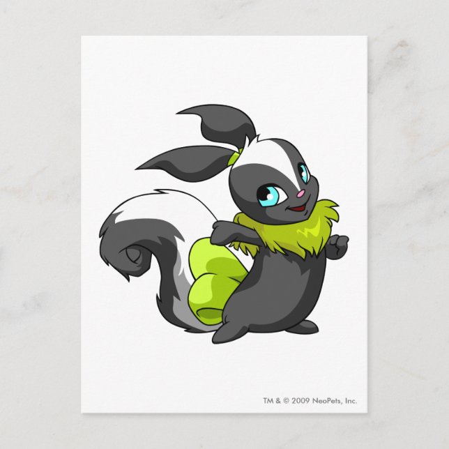 Carte Postale Usul Skunk (Devant)