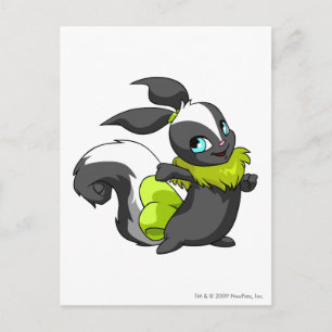 Carte Postale Usul Skunk