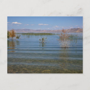 Carte Postale UT, Bear Lake