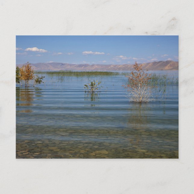 Carte Postale UT, lac Bear (Devant)