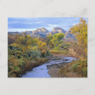 Carte Postale UTAH. ÉTATS-UNIS. Pleasant Creek en automne au lev