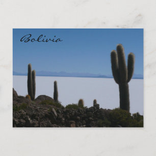 Carte Postale uyuni cactus bolivie