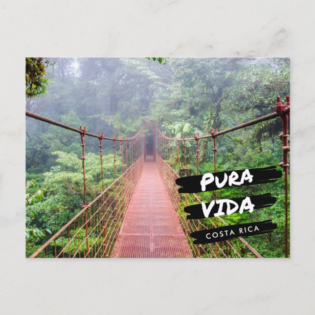 Carte Postale Vacances aux Ponts Suspendus du Costa Rica  (Devant)