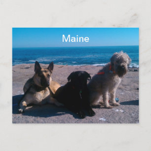 Carte Postale Vacances dans le Maine