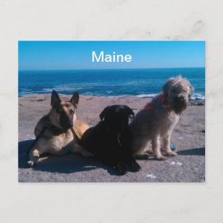 Carte Postale Vacances dans le Maine