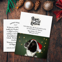 Vacances et Nouvel An Hope & Believe Pet Dog Photo