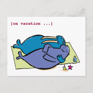 Carte Postale Vacances Walrus, [en vacances ...]