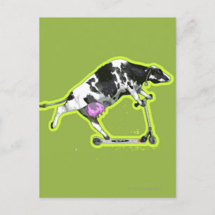 Carte Postale Vache à cheval sur un scooter