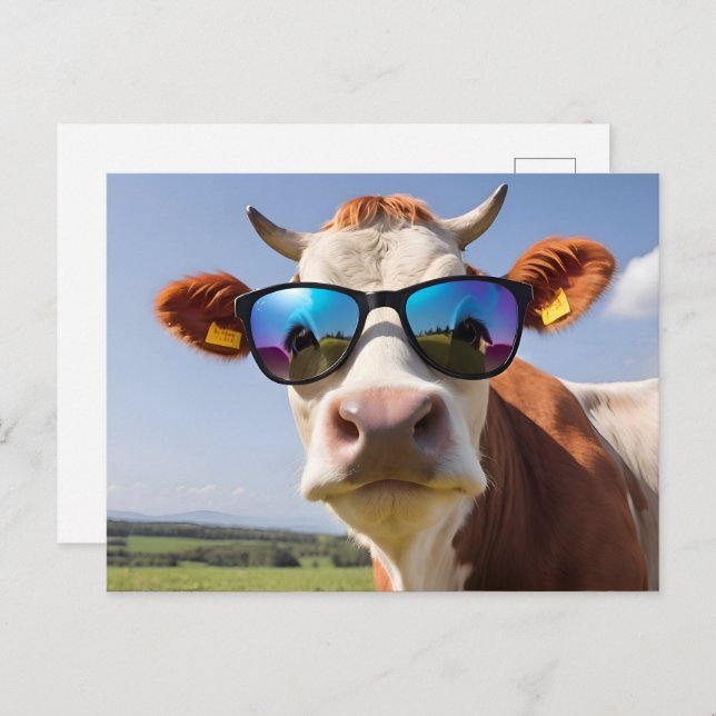 Carte Postale Vache avec lunettes de soleil (Devant / Derrière)