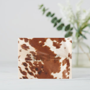 Carte Postale Vache blanche Brown