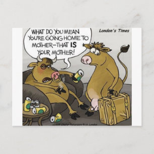 Carte Postale Vache Bull Divorce Drôle Drôle Dons Cartoon Cadeau