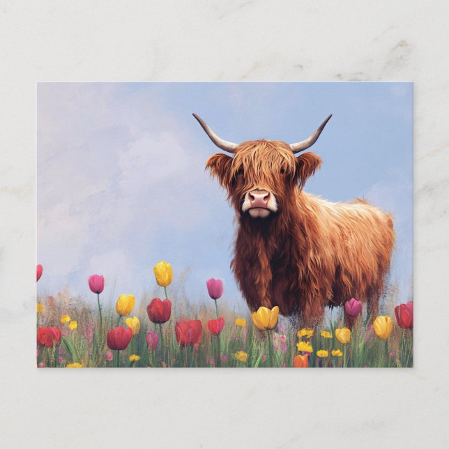 Carte Postale Vache des Highlands dans un champ de tulipes (Devant)
