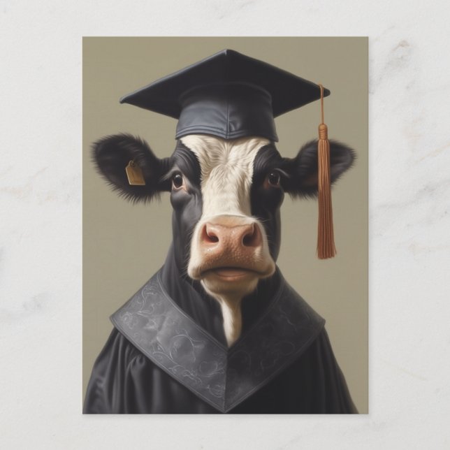 Carte Postale Vache diplômée (Devant)