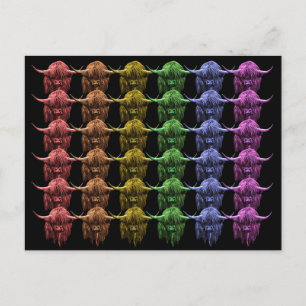 Carte Postale Vache écossaise des Highlands