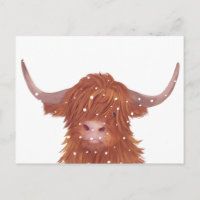 Vache écossaise des Highlands en hiver 