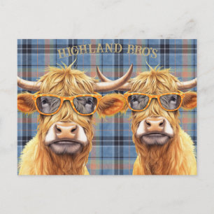 Carte Postale Vache Highland drôle portant des lunettes de solei