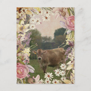 Carte Postale Vache Jersey Fleurs Pays