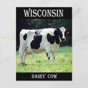 Carte Postale Vache laitière du Wisconsin