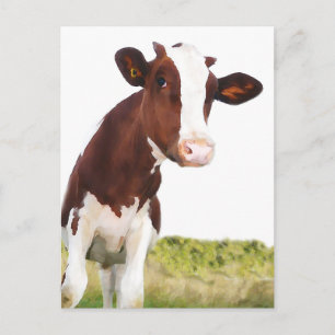 Carte Postale Vache laitière - Peint Brown & Blanc Holstein