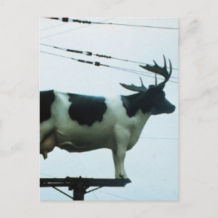 Carte Postale Vache sur un pôle téléphonique