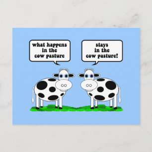 Carte Postale vaches