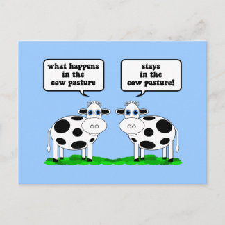 Carte Postale vaches