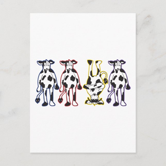 Carte Postale vaches (Devant)