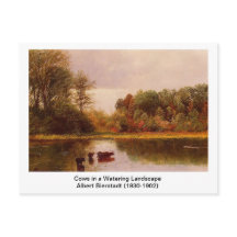 Vaches dans un paysage arrosant par Albert B.
