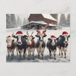 Carte Postale Vaches de Noël amusantes