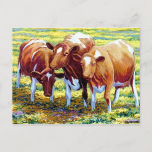 Carte Postale Vaches Vache Laitier Vache dans le pâturage Peintu