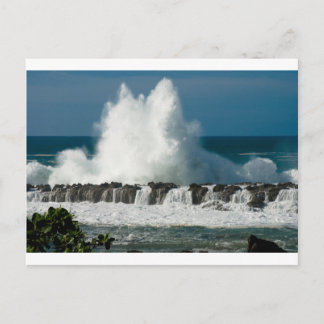 Carte Postale Vague qui s'écrase au-dessus de l'anse de requin