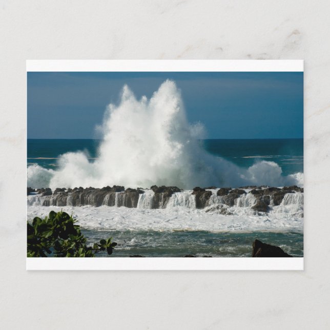 Carte Postale Vague qui s'écrase au-dessus de l'anse de requin (Devant)
