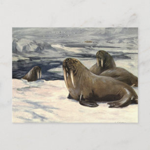 Carte Postale Vagues vintages dans la neige arctique par cygne C