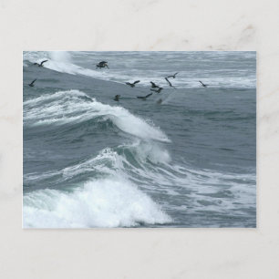 Carte Postale Vagues Vue Des Falaises Du Coucher Du Soleil À San