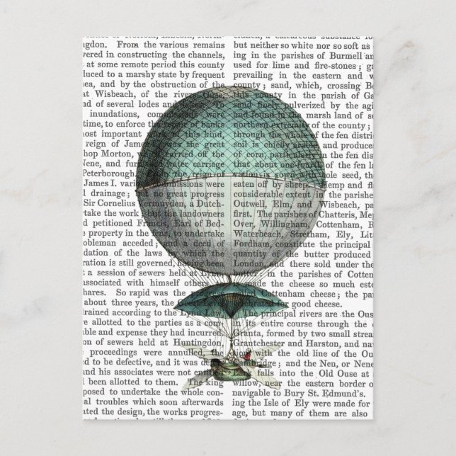 Carte Postale Vaisseau Volant Hot Air Balloon (Devant)