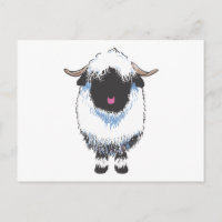 Carte postale Valais Black Nose Sheep
