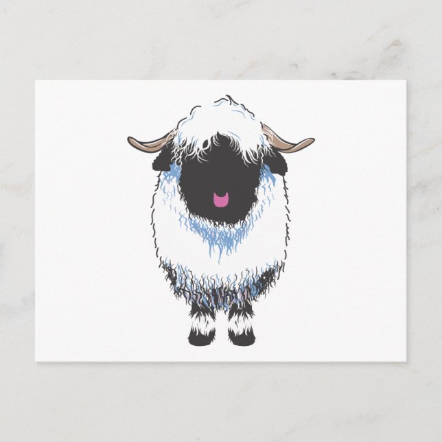 Carte postale Valais Black Nose Sheep (Devant)